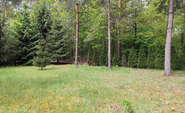 działka na sprzedaż - Stryków (gw), Anielin Swędowski