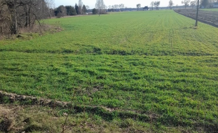 działka na sprzedaż - Widawa, Patoki