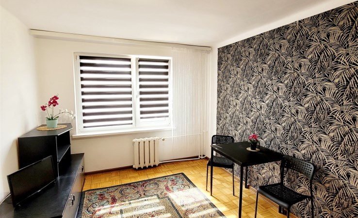 mieszkanie na wynajem - Bełchatów