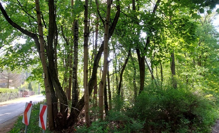działka na sprzedaż - Zgierz (gw), Jedlicze B, Stara Droga
